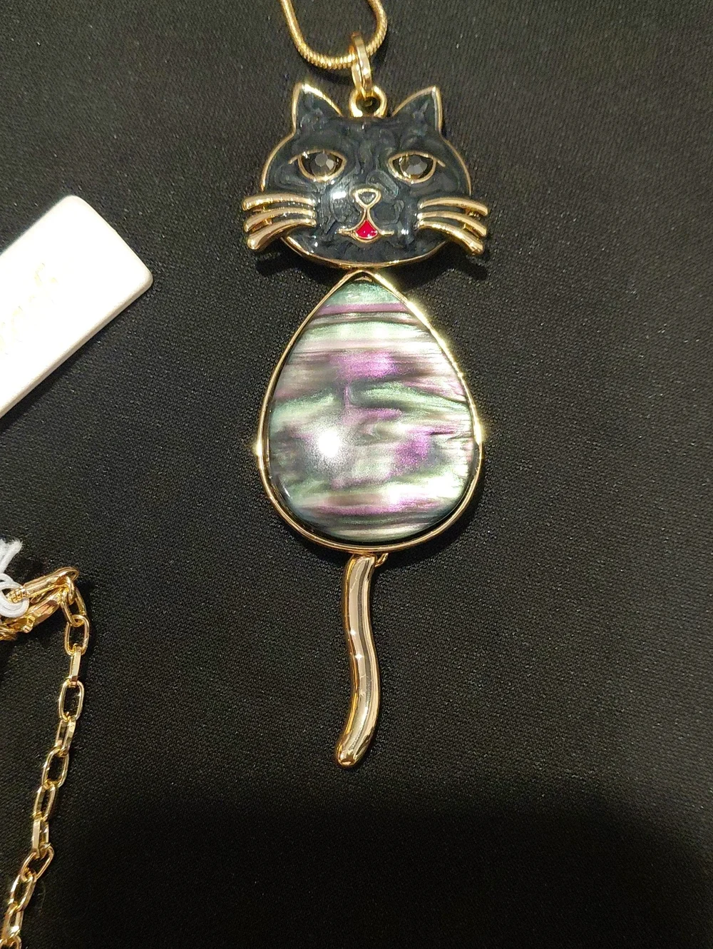 Natasha Couture charming cat